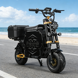 HCBK 72V100AH Scooter Eléctrico con Batería de Litio Extraíble GT-M6, Scooter Eléctrico Todoterreno de <span class=keywords><strong>Doble</strong></span> Tracción y 230 km de Autonomía - Product Image 1