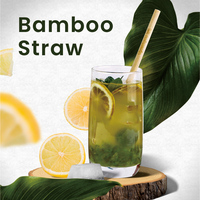 Pailles en bambou écologiques jetables et réutilisables AHEVEN - Compostables, durables, logo personnalisé disponible, en promotion