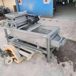 Máquina Automática para Descascarar Nueces, Almendras, Pecanas y Nueces - Product Image 6