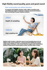 Không Dây Lavalier <span class=keywords><strong>Microphone</strong></span> 2 Thu 2 Mini Micro Sạc Trường Hợp Live Streaming Tiếng Ồn Âm Thanh Âm Thanh Thẻ Máy Trộn - Product Image 3