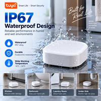 Détecteur de fuite d'eau intelligent LH-301ZB Tuya Zigbee, détecteur d'inondation sans fil, alarme d'eau pour la sécurité domestique et l'automatisation