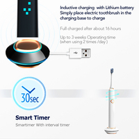 Cepillo de Dientes Eléctrico Sónico Seago SG-998 Profesional para Adultos, Recargable por Inducción, Portátil, de Viaje, con Resistencia al Agua IPX7