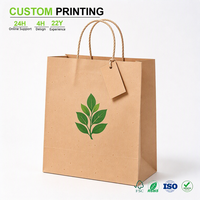 Sac en papier kraft imprimé sur mesure avec motif feuille verte et poignée en corde de papier torsadée pour l'emballage de produits entiers et de cadeaux en gros