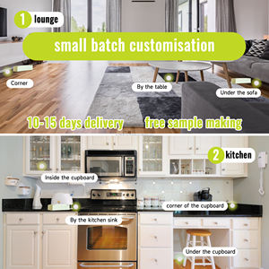 Özelleştirilmiş katlanabilir karton hamamböceği tutkal tuzağı ev restoran beyaz tünel cazibe hamamböceği tutkal tuzağı ev - Product Image 6