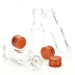 VISTA Free Sample Glass Bottles Mini Oil Spirit Beverage Travel 12ml 20ml 40ml Glass Bottles With Cap