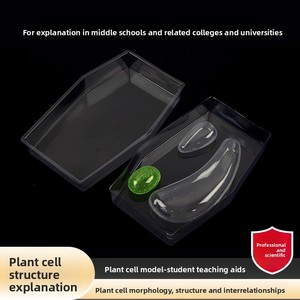 식물 세포 모델 32358 형태학 구조 상호관계 잎 생물학 교육용 기구(32x23x5cm 크기) - Product Image 4