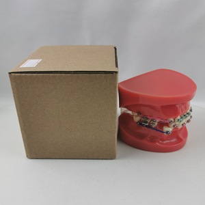 Modèle orthodontique Heidefee M3005, modèle de dents anatomiques en silicone médical rouge pour usage domestique - Product Image 1