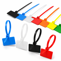 Attaches-câbles en nylon avec étiquettes d'identification, attaches autobloquantes en plastique, marqueurs de fils multicolores, attaches de signalisation 3*100mm