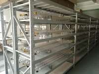 Tabung Laser Kaca CO2 WT 600W Baru untuk Mesin Pemotong Laser Papan Kayu Lapis dengan Garansi 1 Tahun