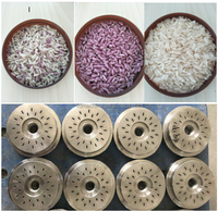 Équipement de traitement du riz nutritif à chauffage instantané automatique, ligne de production de riz artificiel fortifié, machine de soufflage