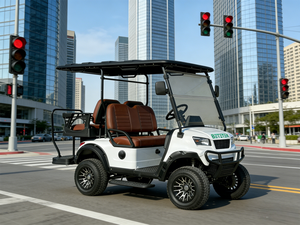 Carrito de Golf Eléctrico Compacto de 4 Plazas, Apto para Campos de Golf, Precios al por Mayor para Carreteras No Públicas - Product Image 1