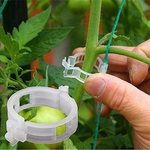Clips de soutien <span class=keywords><strong>pour</strong></span> plantes en plastique <span class=keywords><strong>pour</strong></span> jardinage, petits clips blancs, noirs, gris, <span class=keywords><strong>pour</strong></span> soutenir les tiges de plantes, clips de greffage <span class=keywords><strong>pour</strong></span> tomates et concombres - Product Image 1
