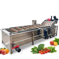 Commerciële Kleine Voedsel Lommerrijke Fruit Schone Wasmachine Luchtbel Groente Wasmachine