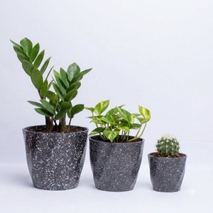 Maceta de Plástico Negra Mediana con Diseño de Polígono Trenzado, 13x9x12cm, PP, 2 Orificios de Drenaje para Hierbas de Escritorio - Product Image 1