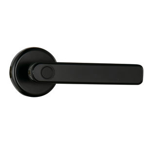 Tuya — serrure de porte à empreintes digitales et clavier numérique, TTlock, poignée de verrouillage intelligente à levier, application Mobile, avec jeu de verrou - Product Image 1