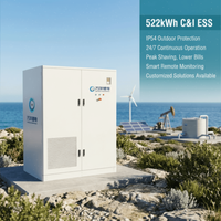 Solución de Almacenamiento de Energía Solar para Comercios e Industrias de 522 kWh, Batería LifePO4 de Alto Voltaje de 314AH para Hogares y Negocios