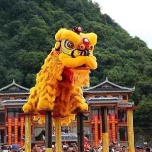 2023 Новинка, открытие фестиваля, Одежда для танцев льва, танец льва, танец льва, китайский танец льва - Product Image 3