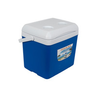 Glacière portable de camping verte 15L avec sac à glace et emballage personnalisé pour la pêche et la conservation au frais des plats à emporter