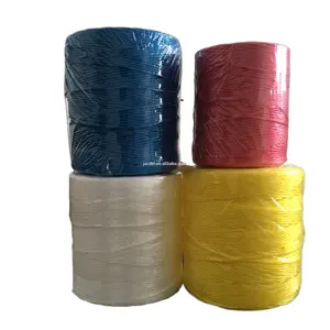pp raffia tomato twine yarn red blue yellow white vegetables tomato pepper hanging twine