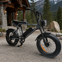 Vélo électrique à pneus larges de 20 pouces 48 V 250 W pour la vente en gros