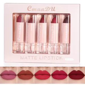Kit de rouge à lèvres en velours nude, crème cosmétique de maquillage, ensemble de bâton à lèvres mat, crayon baume à lèvres mat et soyeux imperméable, 5 couleurs par boîte