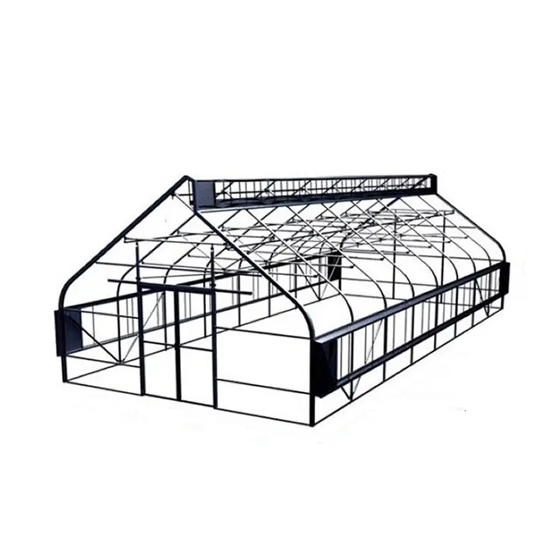 Low Price Hot Sale Greenhouse Plastic Material High Tunnel Agriculture Greenhouse Tunnel Greenhouse for Sale