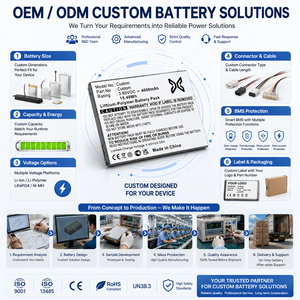 Pack de batteries Li-polymère personnalisé pour dispositif <span class=keywords><strong>médical</strong></span>, système de diagnostic du sommeil, moniteur patient, échographie OEM ODM - Product Image 4