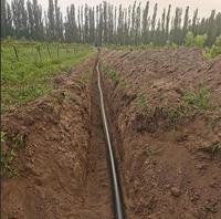 Tuyau d'irrigation goutte à goutte en PE de haute qualité pour drainage agricole, tube d'alimentation en eau noir en PEHD à économie d'eau avec options de longueur en rouleau