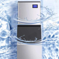 Machine à glaçons commerciale 250 kg/24 h en acier inoxydable pour restaurant avec garantie d'un an