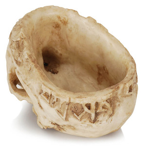 <span class=keywords><strong>Maceta</strong></span> de resina con <span class=keywords><strong>Calavera</strong></span>, <span class=keywords><strong>maceta</strong></span> para suculentas, <span class=keywords><strong>maceta</strong></span> tallada de Cactus, cuenco, estatua de Halloween, escultura, decoración de esqueleto, <span class=keywords><strong>maceta</strong></span> - Product Image 6