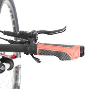 29'' Mountainbike mit Doppelscheibenbremse, Carbon-MTB für Herren, GSD-MAX M8100-2*12s - Product Image 6