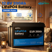 Batterie LiFePO4 12,8 V 200 Ah 2560 Wh à décharge profonde, batterie au phosphate de fer et de lithium avec BMS intelligent intégré pour système solaire, camping-car et hors réseau