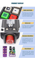 Control Remoto Industrial Inalámbrico Universal IP66 de 4 Botones, Receptor de Elevación, Interruptor de Control Remoto Inalámbrico para Grúa