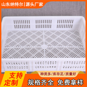 Caisses en plastique Shandong Natel 600x420x130mm, qualité alimentaire, pour la logistique et la distribution - Product Image 5