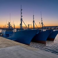 Bateau de pêche en acier bleu pour la pêche en haute mer à vendre, grand navire de pêche commercial avec GPS, AIS, détecteur de profondeur et équipement de pêche complet