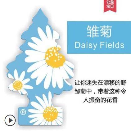 เดซี่ ฟิลด์ส