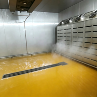 Machine de décongélation à basse température et haute humidité pour poulet, canard et volailles congelés.