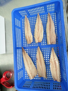 Filete <span class=keywords><strong>de</strong></span> Caballa Saba <span class=keywords><strong>de</strong></span> Noruega Congelado <span class=keywords><strong>de</strong></span> Alta Calidad - Product Image 3