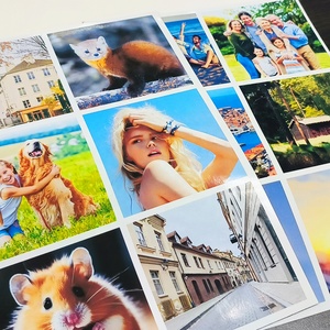 Bán buôn tùy chỉnh đối diện tình dục từ khô xóa Hội Đồng Quản trị 230 gam pha lê mã giấy và cao su tấm nam châm - Product Image 6