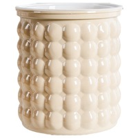Pot de fleurs créatif auto-arrosant en résine plastique transparente pour petite plante en pot/plante aérienne, style bulle hydroponique