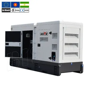 BISON China Automatic Start Water Cooled 50Kw 380V Winter Proof Super Silent Power Plant Diesel Engine Generator