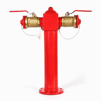 Hydrant d'incendie en fonte DN100/65 à double sortie, fixation par bride fixe, pour la protection incendie des entrepôts, des dépôts de pétrole et des usines chimiques