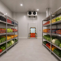 Chambre froide à atmosphère contrôlée monophasée, équipement de réfrigération personnalisable pour fruits et légumes