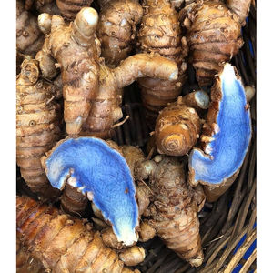 Curcuma noir frais super vendu, 100% pur, cultivé naturellement, utilisations multiples, curcuma noir à vendre par les exportateurs - Product Image 1