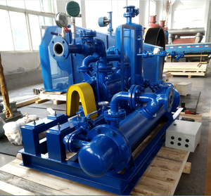 DLV 800 SS304 Ring Vacuum <b>Pump</b> Double Stage Bare - Product Image 4