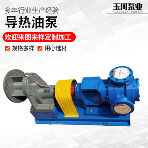 Pompe centrifuge horizontale haute température RY50-32-160, pompe à huile chaude de circulation pour utilisation dans les champs pétrolifères - Product Image 2