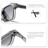 Nouvelles Lunettes de Soleil Transparentes CAT3 Luxe Street Wear Lentille TAC UV400 Logo Métal Personnalisé en Acétate