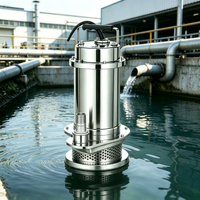 Pompe submersible à eau propre basse pression en acier inoxydable Q(D)X-SB, fabrication OEM, raccord fileté BSP, livraison directe usine