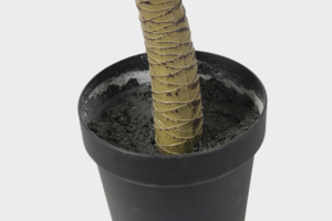 Piante di canna da giardino naturale di alta qualità artificiale Dracaena Fragrans 100CM 70 foglie albero artificiale seta pianta finta - Product Image 5