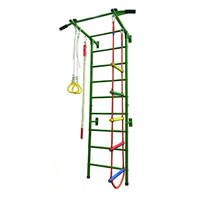 Nouveauté 2026 : Ensemble de jeux d'échelle suédoise et de barres de monkey bars pour enfants
